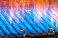 Waldridge gas fired boilers